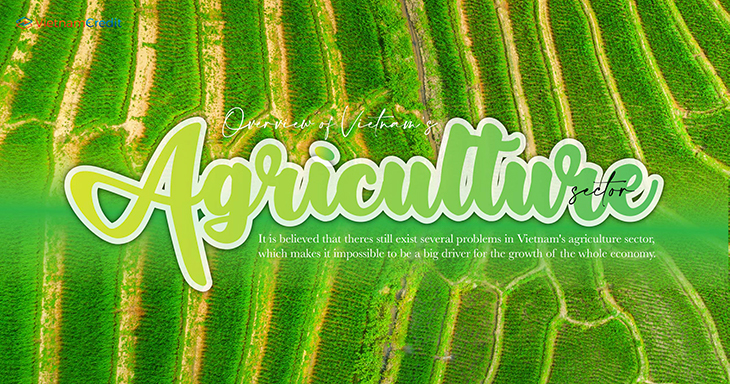 Overview of Vietnam’s agriculture sector